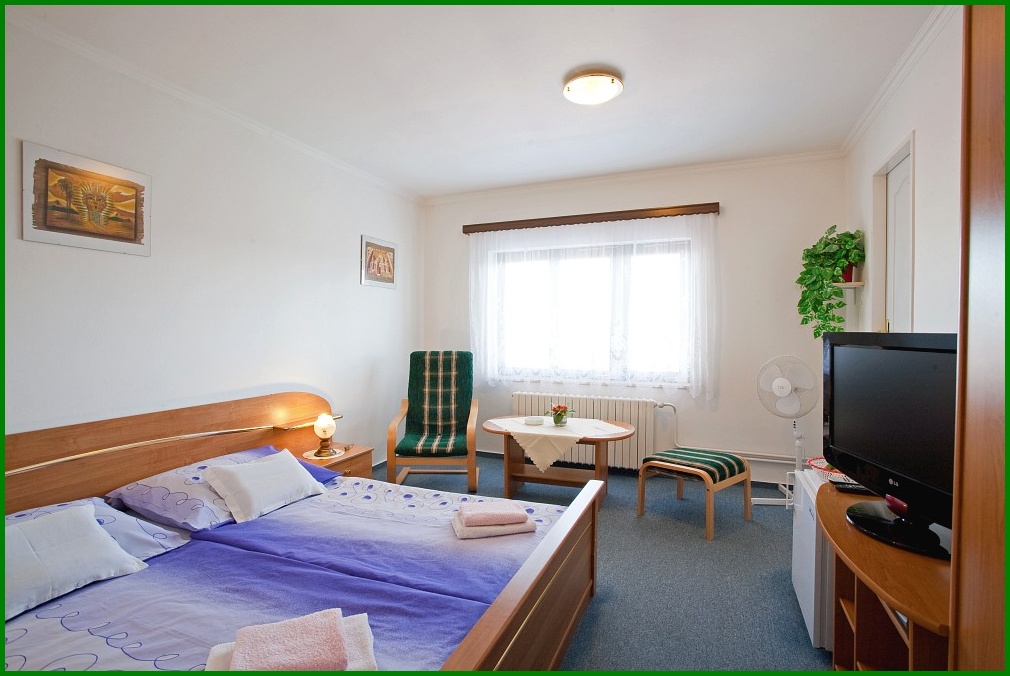 Ubytov�n� �esk� Bud�jovice - LEVN� PENZION